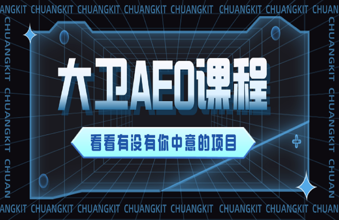 大卫AEO课程-创课星球网-金维维的个人IP平台