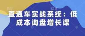 白泽直通车实战系统:低成本询盘增长课-艺课星球网-南方北的个人IP平台